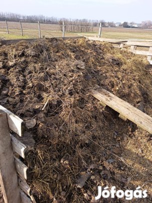 Trágya eladó