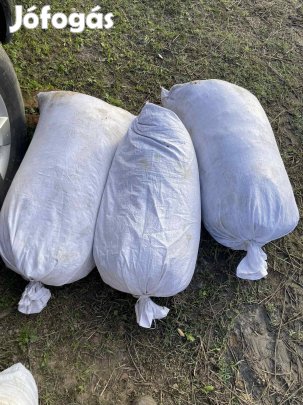 Trágya gané juh, marha,