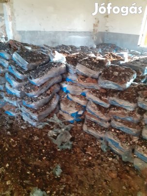 Trágya gombatrágya igényeseknek szezonban 