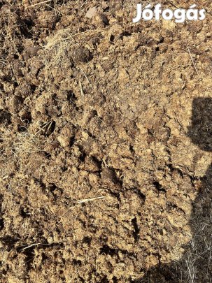 Trágya ingyen elvihető
