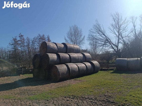 Tritikálé szalma Debrecen mellett 6500