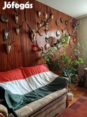 Trofeák gyűjtemény 