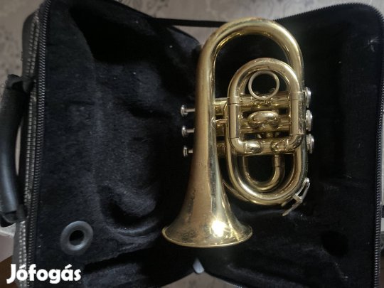 Trombita roy benson eladoó