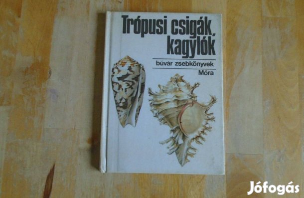 Trópusi csigák, kagylók - Búvár zsebkönyv - Móra - Akcióztam!!!