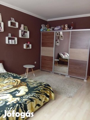 Tulajdonostól eladó 40 m-es , 1 szobás lakás Kecskemét, Daróczi köz