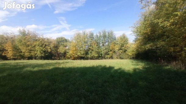 Tündérkert a tó fölött! - Galambok