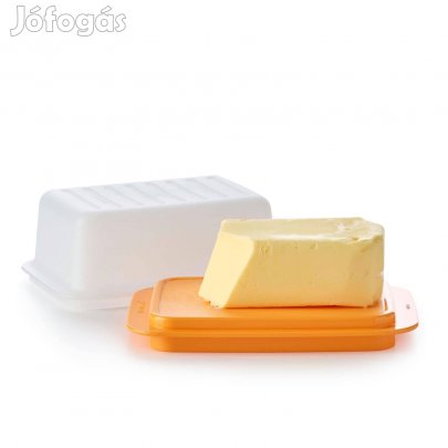 Tupperware Vajtartó