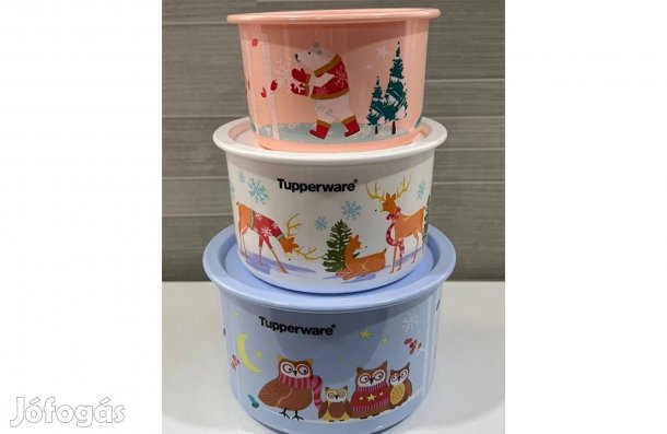 Tupperware karácsonyi baglyos tál szett Új
