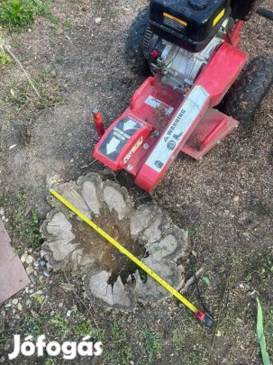 Tuskómaró Tuskómarás