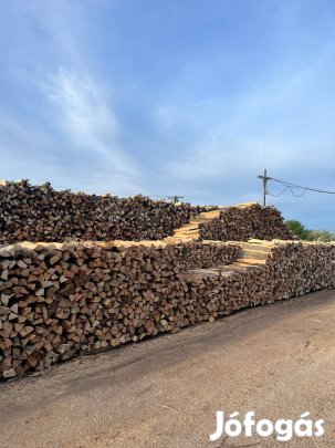 Tűzifa Akció!!!