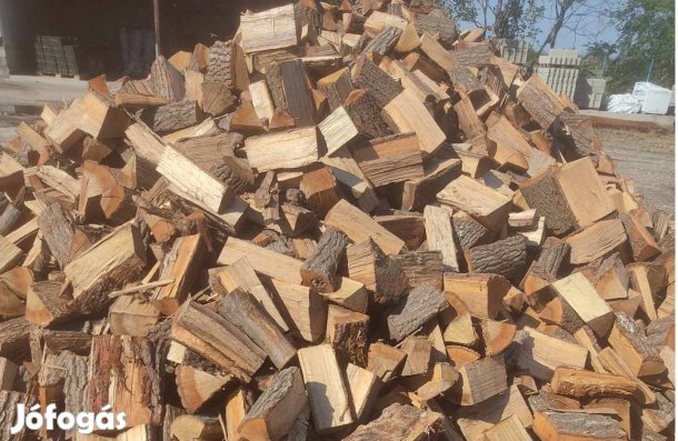 Tűzifa kapható országosan