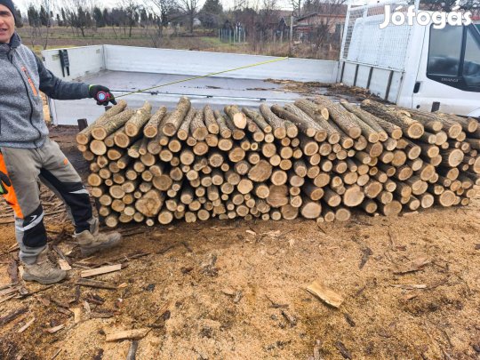 Tűzifa kiszállítva