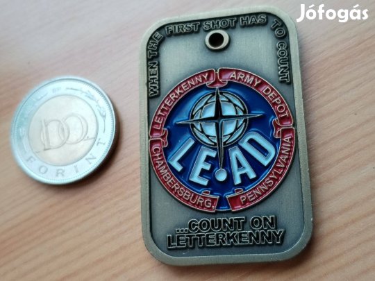 USA Pennsylvania Törzsörmesteri "Bajtársiasági" érem