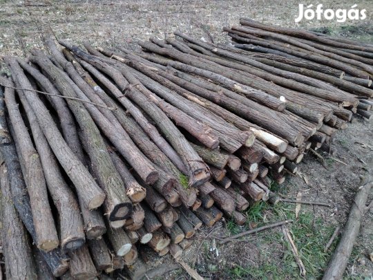 Uborka, karamfa, villanypasztor karó eladó