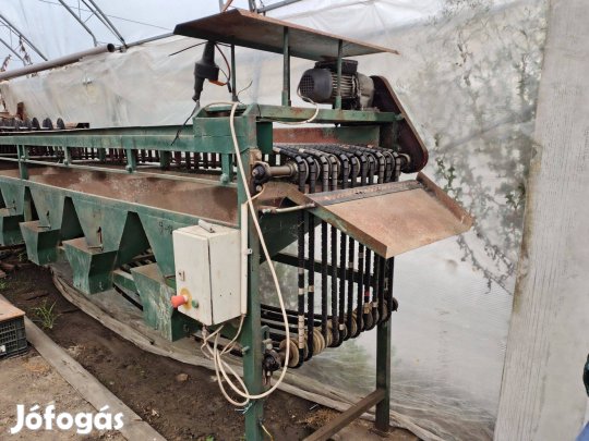 Uborka válogató gép