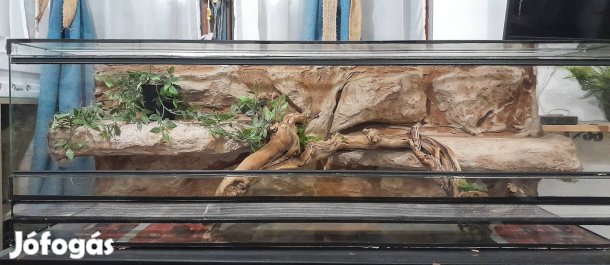 Új 120x40x40es méretű terrárium beépített háttérrel 