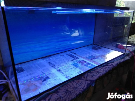 Új 200 literes akvárium kivehető csúszó üvegtetőkkel garival 