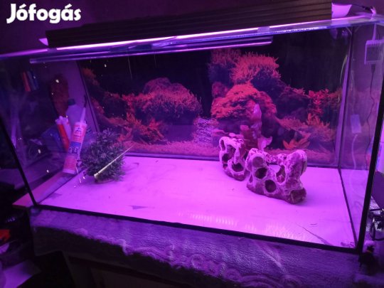 Új 240 literes akvárium kivehető csúszó üvegtetőkkel garival 
