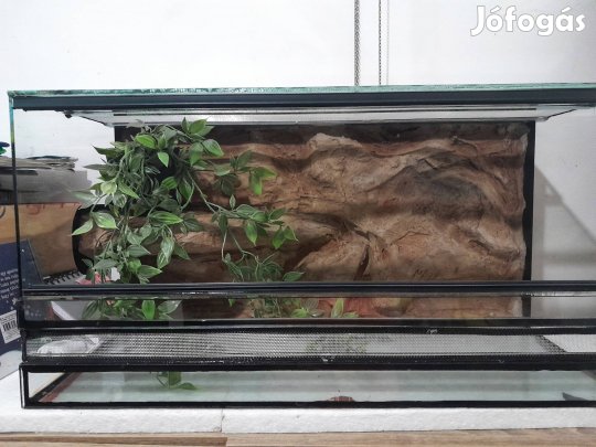 Új 60x30x30-as méretű terrárium 