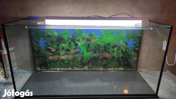 Új 63 literes akvárium csúszó tetőüvegekkel garival 