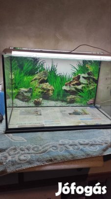 Új 63 literes akvárium kivehető csúszó tetőüvegekkel garival 