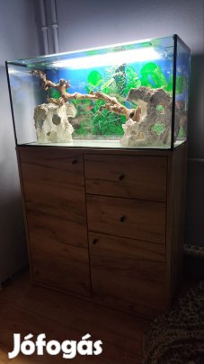 Új 96 literes akvárium szekrénnyel