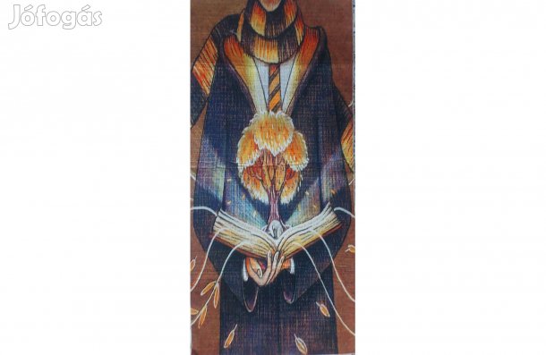 Új Harry Potter szőnyeg 99 x 210 cm