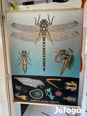 Új Ikea Sibbared vászon rovaros kép dekoráció