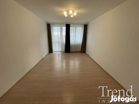 Új Vasmű úton két szobás felújított lakás kiadó!