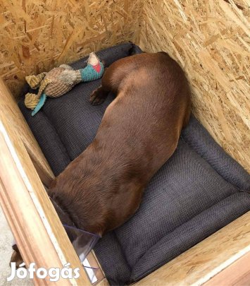 Új, nyitható, szigetelt, aluprofilos kutyaház pl. labradornak