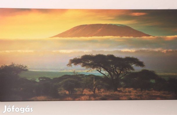 Új, újszerű Kilimanjaro - Kenya vászonkép, 140 cm*70 cm-es méretben