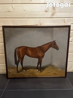 Újfalusi Árpád Peking nevű versenyló portréja