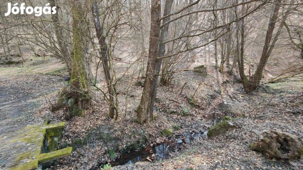 Újhután csendes zsákutcában patak parti telek eladó