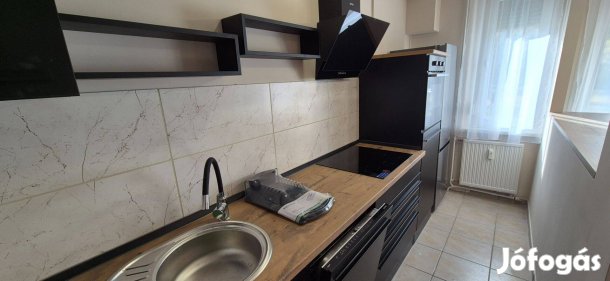Újkertben 2 szobás felújított lakás kiadó!