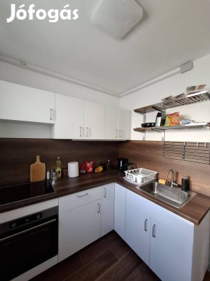 Újkertben felújított 3 szobás lakás eladó!
