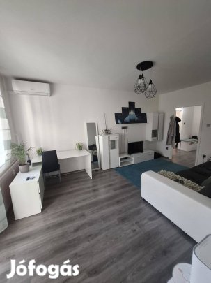 Újkertben felújított 60 nm-es szép lakás