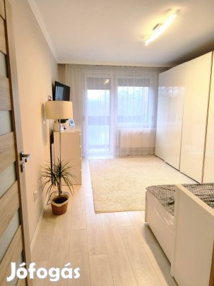 Újkerti,panelprogramos,felújított lakás eladó