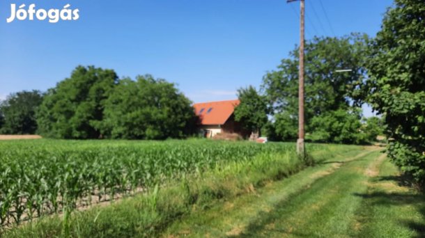 Újmohácson- komphoz közel megkezdett felújítással- családi ház nagy