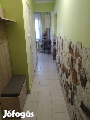 Újpalotán kiadó felújított lakás