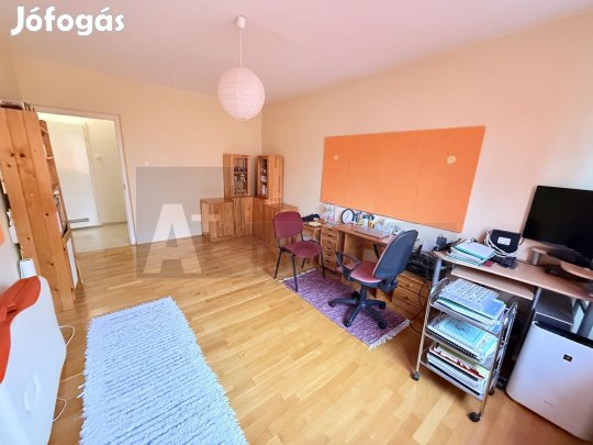 Újszegeden a Liget szomszédságában , 3 szobás , panel lakás eladó !