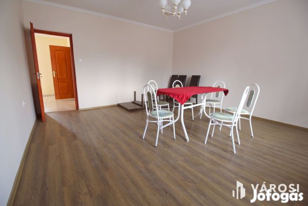 Újszegedi magánház hatalmas telekkel