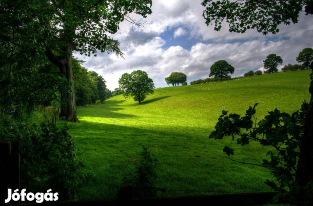 Újszilváson építési telek eladó