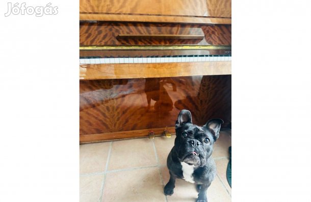 Ukrajna típusú fa pianínó eladó