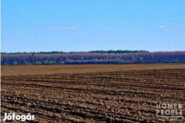 Üllésen földterület eladó!