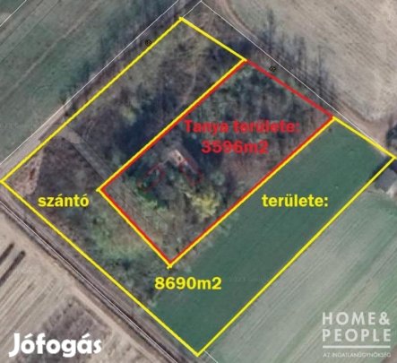 Üllési tanya, aszfaltos úthoz közel!