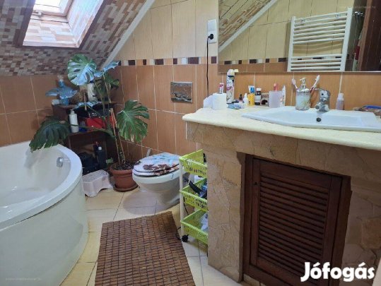 Üllőn eladó 2+1 félszobás nappalis 2 fürdőszobás ház