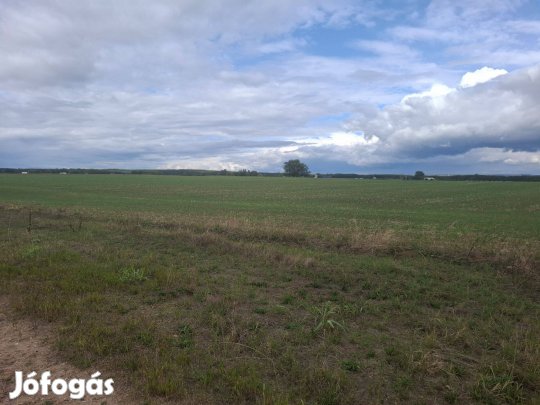 Üllőn szántó Eladó