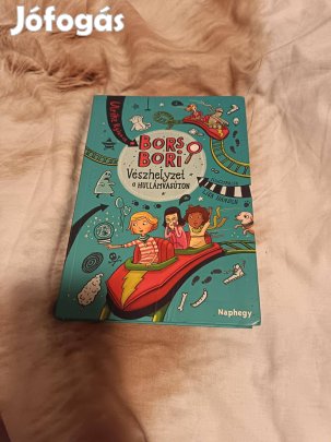 Ulrike Rylance: Vészhelyzet a hullámvasúton (Bors Bori 2.)