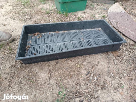 Ültető tálca