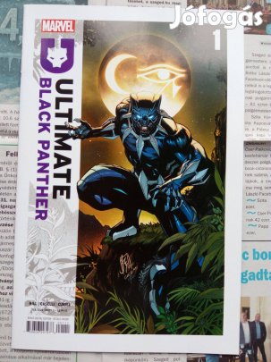 Ultimate Black Panther Marvel Fekete Párduc képregény 1A. szám eladó!
